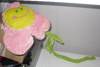 pelu_9.jpg